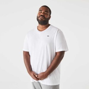 Lacoste Big Fit Crew Neck βαμβακερα Jersey ασπρα | OD1602579
