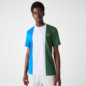 Lacoste Branded Crew Neck βαμβακερα γκρι μπλε πρασινο | DL6527301