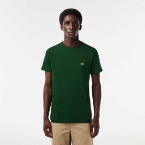 Lacoste Crew Neck Pima βαμβακερα Jersey πρασινο | DW6905274
