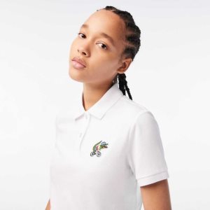 Lacoste Netflix Crocodile Πολύχρωμο | TS3780219