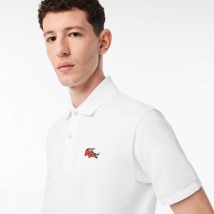 Lacoste Netflix Organic βαμβακερα Πολύχρωμο | AV8279315