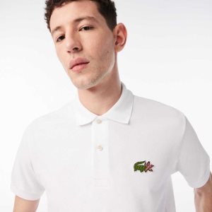 Lacoste Netflix Organic βαμβακερα Πολύχρωμο | HF9810372