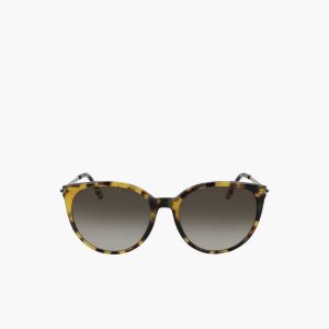 Lacoste Oval Acetate La Piquee Πολύχρωμο | ZH7968430