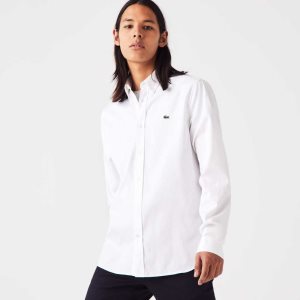 Lacoste Regular Fit Premium βαμβακερα ασπρα | YI8953614