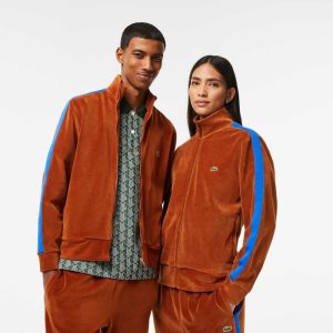 Lacoste Regular Fit Velvet Zip Sweatshirt καφε | GA2593841