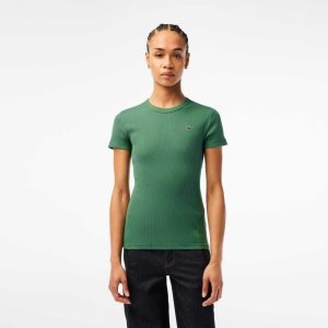Lacoste Slim Fit Organic βαμβακερα T-Shirt Χακί πρασινο | CV5469710