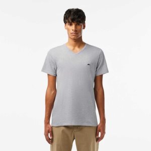 Lacoste V-Neck Pima βαμβακερα Jersey γκρι | QD3869405