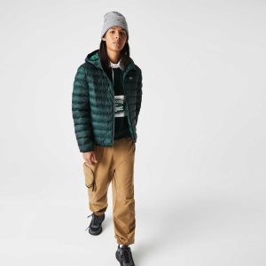 Lacoste Καπιτονέ Κουκουλοφόρος πρασινο | NI5609874