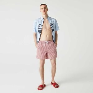 Lacoste Ριγέ Πολύχρωμο | OG3146987