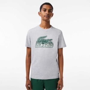 Lacoste βαμβακερα Jersey Print γκρι | YO0367295