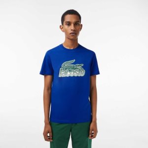 Lacoste βαμβακερα Jersey Print μπλε | AG2904586