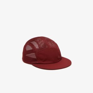 Lacoste σιλικόνη Crocodile μπορντο | BE3021457