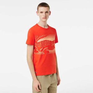 Lacoste τενις x Novak Djokovic πορτοκαλι | EK5490278