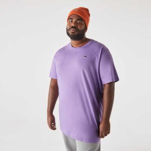 Lacoste ψηλεσ Fit Pima βαμβακερα Jersey μωβ | MI4596870
