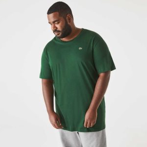 Lacoste ψηλεσ Fit Pima βαμβακερα Jersey πρασινο | VU3064581