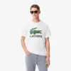 Ανδρικό βαμβακερό T-shirt με χαρακτηριστική εκτύπωση Ανδρικό βαμβακερό T-shirt με χαρακτηριστική εκτύπωση