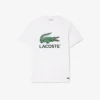 Ανδρικό βαμβακερό T-shirt με χαρακτηριστική εκτύπωση Ανδρικό βαμβακερό T-shirt με χαρακτηριστική εκτύπωση