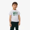 Βαμβακερό T-shirt με γραφικό τύπωμα Βαμβακερό T-shirt με γραφικό τύπωμα